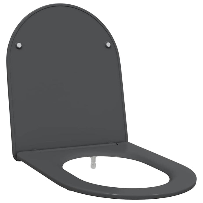 Capacul de toaletă Antracit 47 x 36 x 3,4 cm Duroplast - WALTI WALTI