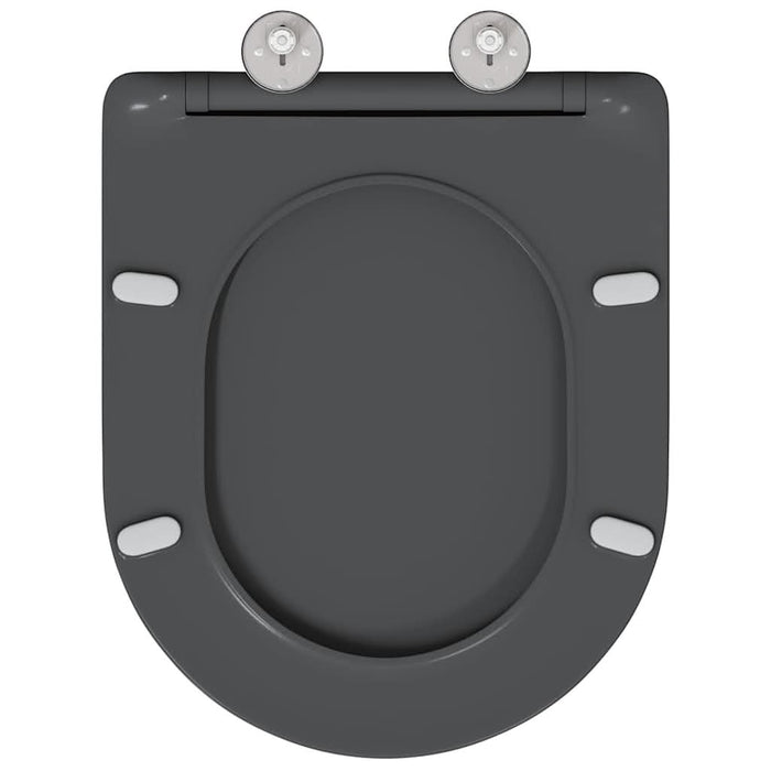 Capacul de toaletă Antracit 47 x 36 x 3,4 cm Duroplast - WALTI WALTI