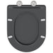 Capacul de toaletă Antracit 47 x 36 x 3,4 cm Duroplast - WALTI WALTI
