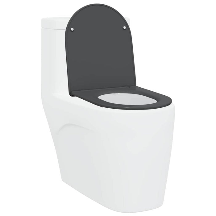Capacul de toaletă Antracit 47 x 36 x 3,4 cm Duroplast - WALTI WALTI