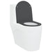 Capacul de toaletă Antracit 47 x 36 x 3,4 cm Duroplast - WALTI WALTI
