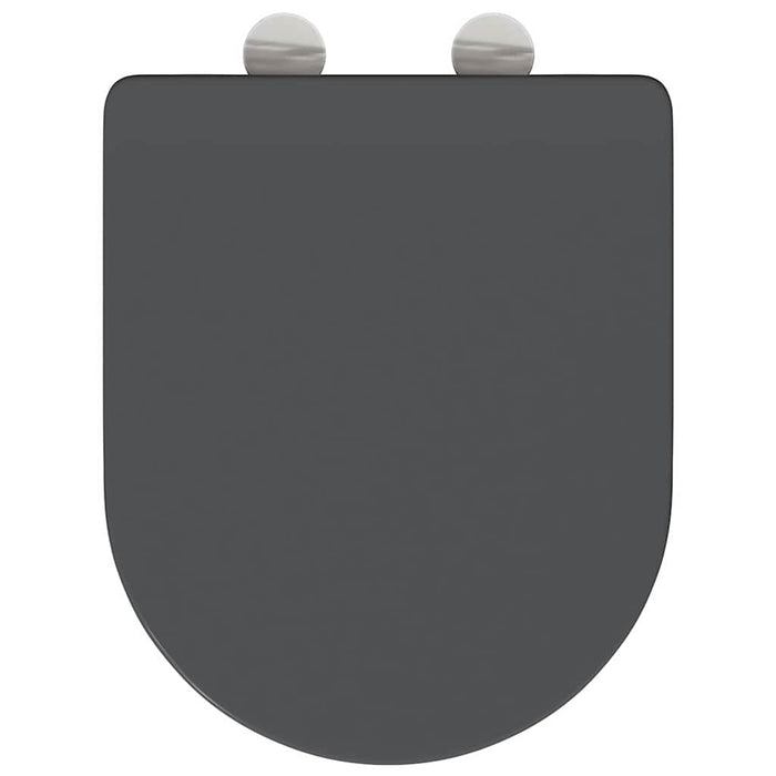 Capacul de toaletă Antracit 47 x 36 x 3,4 cm Duroplast - WALTI WALTI