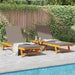 Șezlong 2 pcs Maro 63 x 199 x 85cm Lemn masiv de acacia - WALTI WALTI