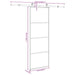 Ușă glisantă cu set feronerie, 76x205 cm, sticlă ESG/aluminiu - WALTI WALTI