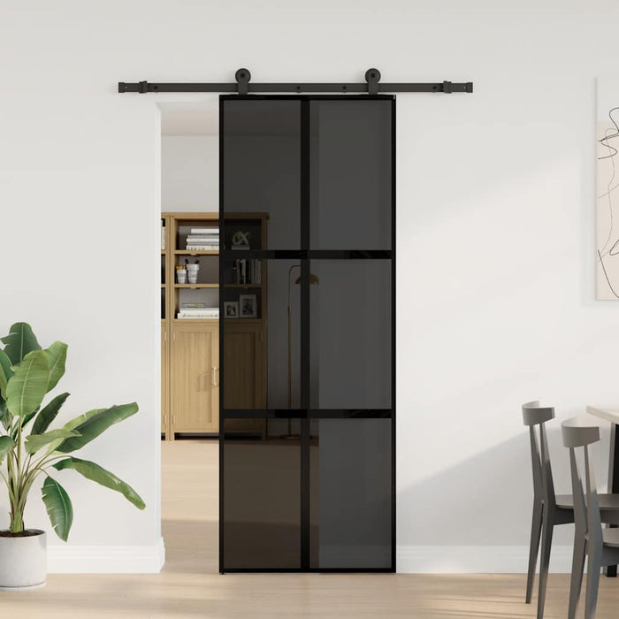 Ușă glisantă cu set de feronerie sticlă temperată și aluminiu - WALTI WALTI