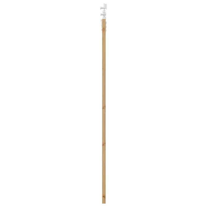 Ușă glisantă natural 61 x 198,5 cm Lemn masiv de pin și sticlă - WALTI WALTI