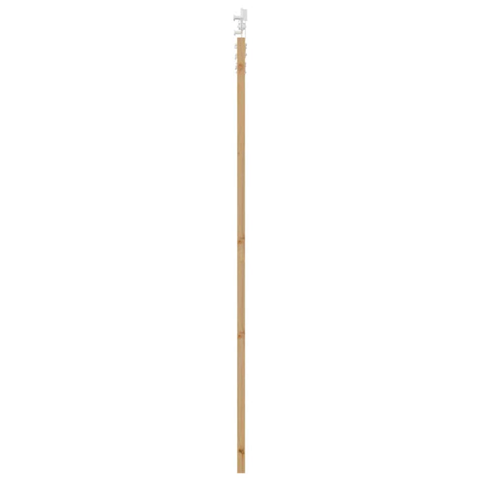 Ușă glisantă natural 93 x 211 cm Lemn masiv de pin și sticlă - WALTI WALTI