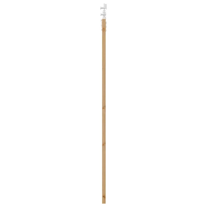 Ușă glisantă natural 61 x 198,5 cm Lemn masiv de pin și sticlă - WALTI WALTI