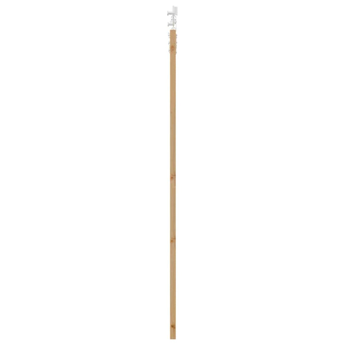 Ușă glisantă natural 93 x 202 cm Lemn masiv de pin și sticlă - WALTI WALTI