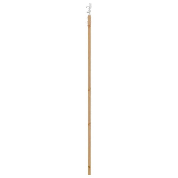 Ușă glisantă natural 93 x 211 cm Lemn masiv de pin și sticlă - WALTI WALTI