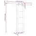 Ușă glisantă natural 61 x 198,5 cm Lemn masiv de pin și sticlă - WALTI WALTI