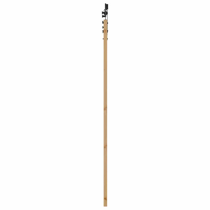 Ușă glisantă natural 93 x 202 cm Lemn masiv de pin și sticlă - WALTI WALTI