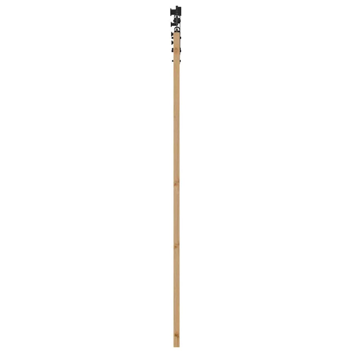 Ușă glisantă natural 61 x 198,5 cm Lemn masiv de pin și sticlă - WALTI WALTI