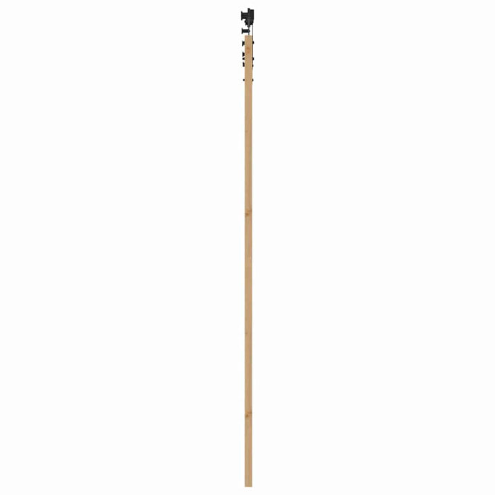 Ușă glisantă natural 93 x 232 cm Lemn masiv de pin și sticlă - WALTI WALTI