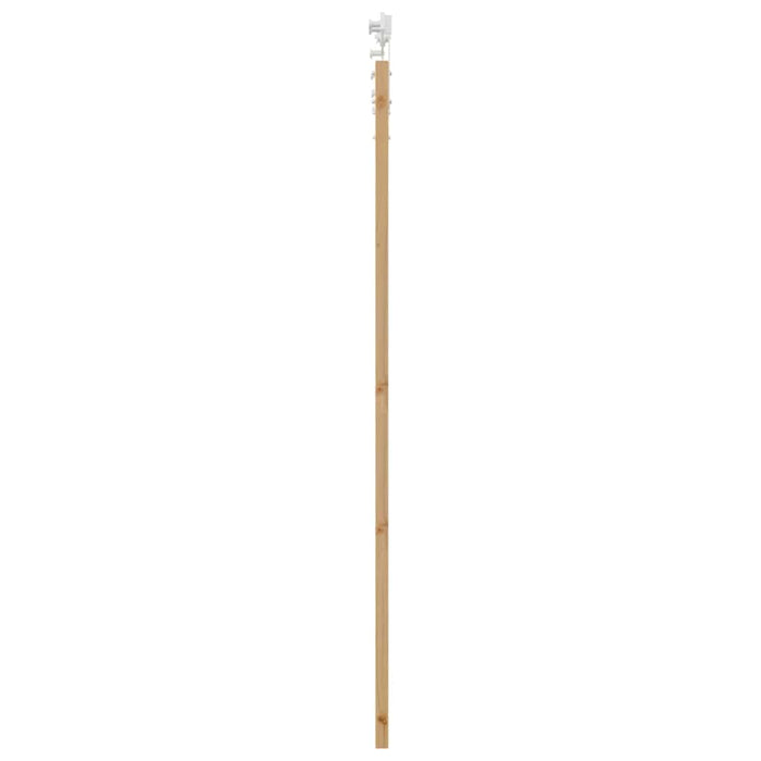 Ușă glisantă natural 93 x 202 cm Lemn masiv de pin și sticlă - WALTI WALTI