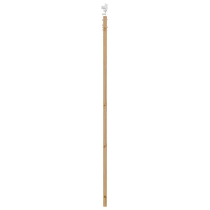 Ușă glisantă natural 93 x 211 cm Lemn masiv de pin și sticlă - WALTI WALTI