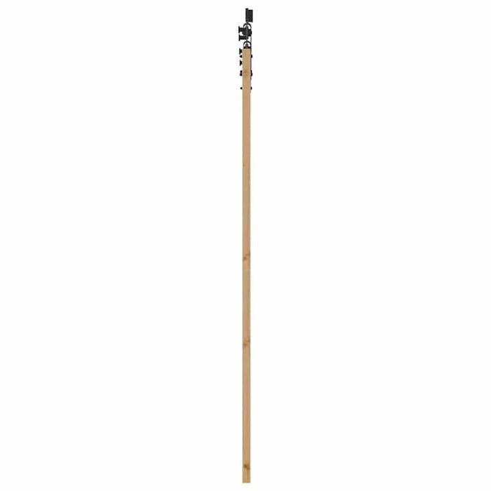 Ușă glisantă Natural și Negru 61 x 198,5 cm - WALTI WALTI