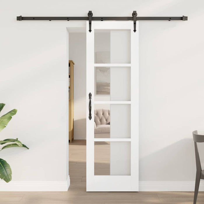 Ușă glisantă Alb și negru 61 x 198,5 cm - WALTI WALTI