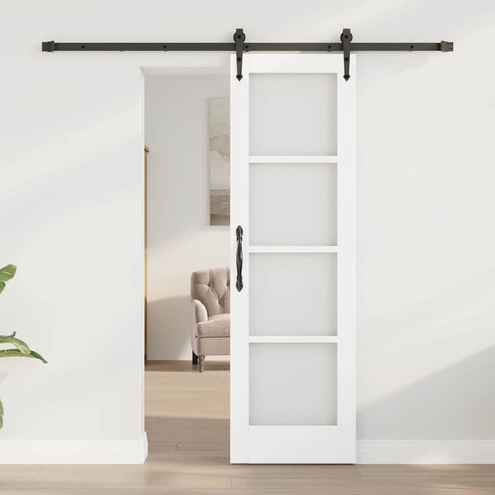 Ușă glisantă Alb și negru 61 x 198,5 cm - WALTI WALTI