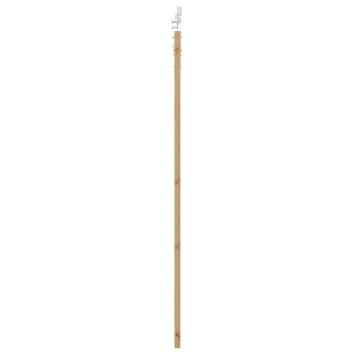 Ușă glisantă natural 93 x 202 cm Lemn masiv de pin și sticlă - WALTI WALTI