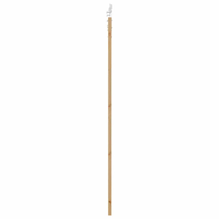 Ușă glisantă natural 93 x 232 cm Lemn masiv de pin și sticlă - WALTI WALTI