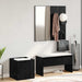 Set mobilier hol Pe perete cu oglindă 5 pcs Lemn compozit - WALTI WALTI