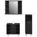 Set de mobilier pentru baie 3 pcs Negru 30 x 30 x 99,5 cm - WALTI WALTI