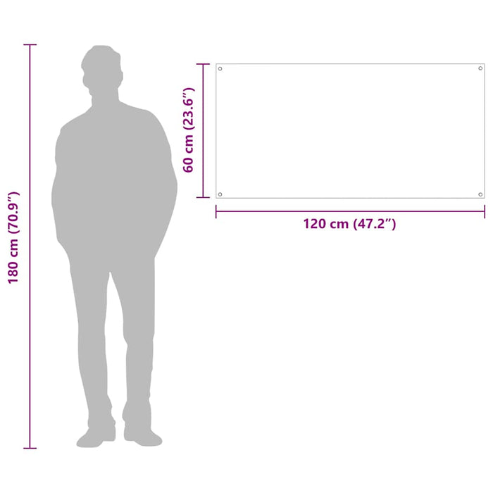 Panou de bucătărie Transparent 120 x 60 cm sticlă securizată WALTI