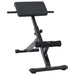 Bancă de hiperextensie Manual Negru 100,5 x 70 x 78 cm - WALTI WALTI