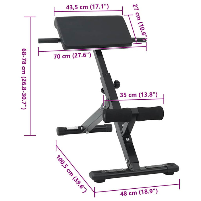 Bancă de hiperextensie Manual Negru 100,5 x 70 x 78 cm - WALTI WALTI