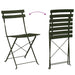 Set Bistro Pliabil 3 pcs Pădure Oțel - WALTI WALTI