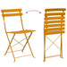 Set Bistro Pliabil 3 pcs Muștar Oțel - WALTI WALTI