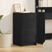 Bufet cu sertar Stejar negru 40 x 41 x 75 cm Lemn compozit - WALTI WALTI