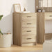 Bufet cu sertar Stejar sonoma 40 x 41 x 75 cm Lemn compozit - WALTI WALTI