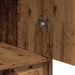 Bufet cu sertar Lemn vechi 40 x 40.5 x 75 cm Lemn compozit - WALTI WALTI