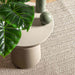 Covor Crem 120 x 170 cm PP - WALTI WALTI