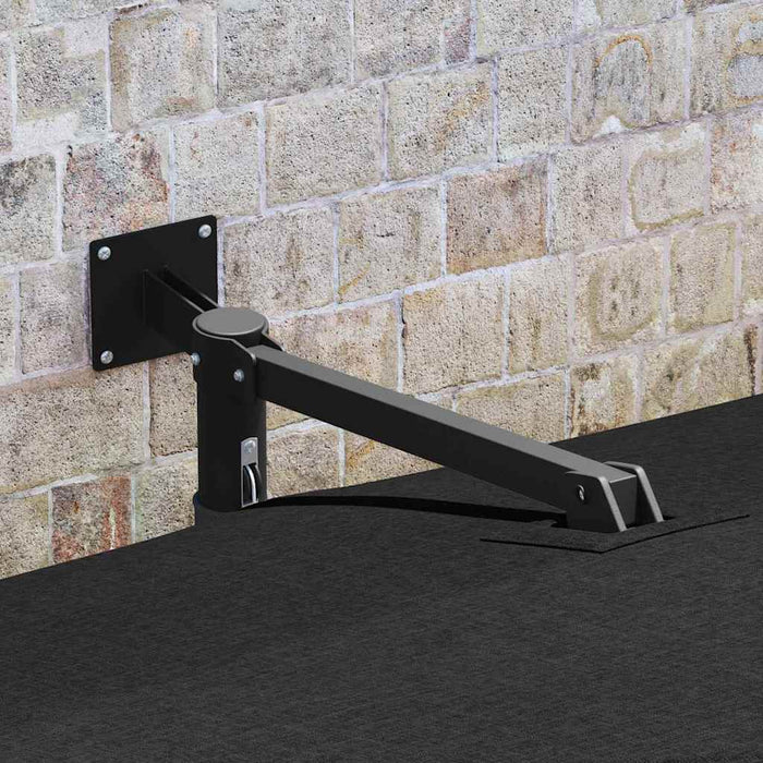 Parasol de Grădină Negru, Negru 248.5 x 247.5 x 160 cm - WALTI WALTI