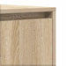 Bufet cu sertar Stejar sonoma 120 x 41 x 75 cm Lemn compozit - WALTI WALTI