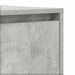 Bufet cu sertar Gri beton 120 x 41 x 75 cm Lemn compozit - WALTI WALTI
