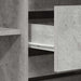 Bufet cu sertar Gri beton 120 x 41 x 75 cm Lemn compozit - WALTI WALTI