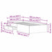 Cadru de pat cu sertare Lemn vechi 100 x 200 cm Lemn compozit - WALTI WALTI