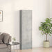 Dulap cu raft cu ușă Gri beton 55 x 25 x 189 cm Lemn compozit - WALTI WALTI