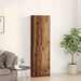 Dulap cu raft cu ușă Lemn vechi 55 x 25 x 189 cm Lemn compozit - WALTI WALTI