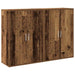 Bufet cu raft cu depozitare cu ușă Lemn vechi 60 x 31 x 84 cm Lemn compozit - WALTI WALTI