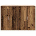 Bufet cu raft cu depozitare cu ușă Lemn vechi 60 x 31 x 84 cm Lemn compozit - WALTI WALTI