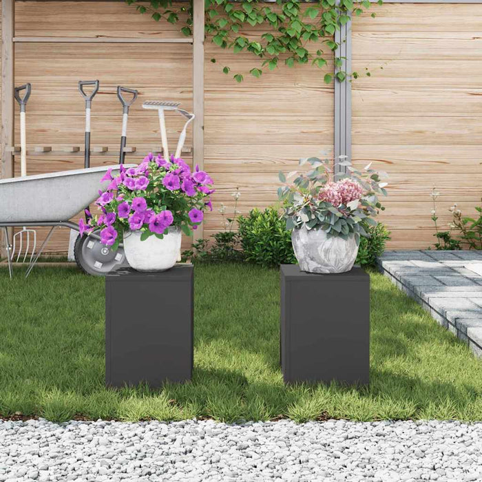 Suport pentru plante 2 pcs Negru 24 x 24 x 35 cm Oțel - WALTI WALTI