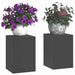 Suport pentru plante 2 pcs Negru 24 x 24 x 35 cm Oțel - WALTI WALTI