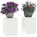 Suport pentru plante 2 pcs Alb 24 x 24 x 35 cm Oțel - WALTI WALTI