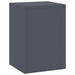 Suport pentru plante 2 pcs Antracit 24 x 24 x 35 cm Oțel - WALTI WALTI