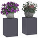 Suport pentru plante 2 pcs Antracit 24 x 24 x 35 cm Oțel - WALTI WALTI